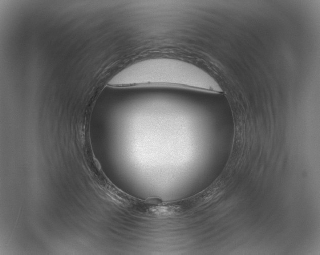 X0000056030558200508190955