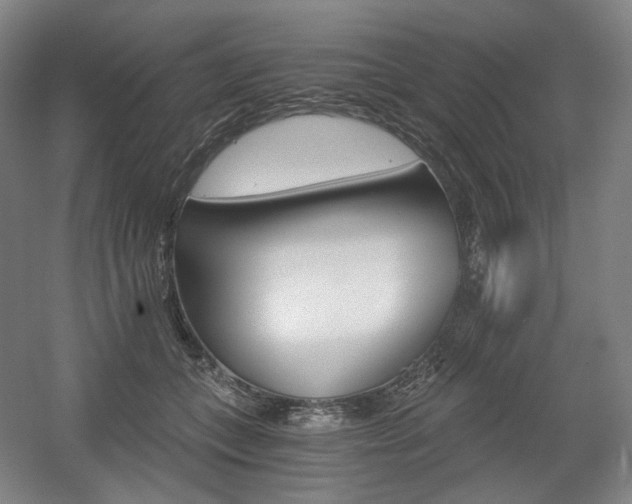 X0000056030559200508190955