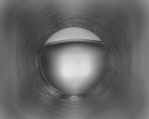X0000056030562200508190955