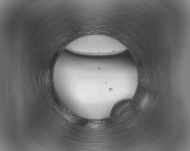 X0000056030563200508190955