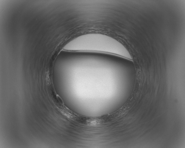 X0000056030564200508190955