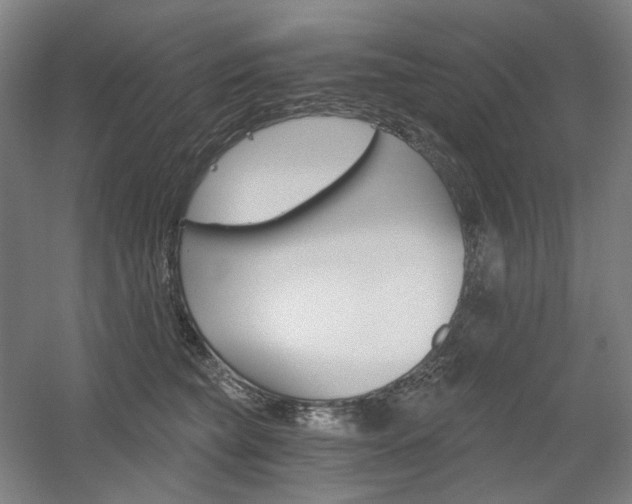 X0000056030565200508190955