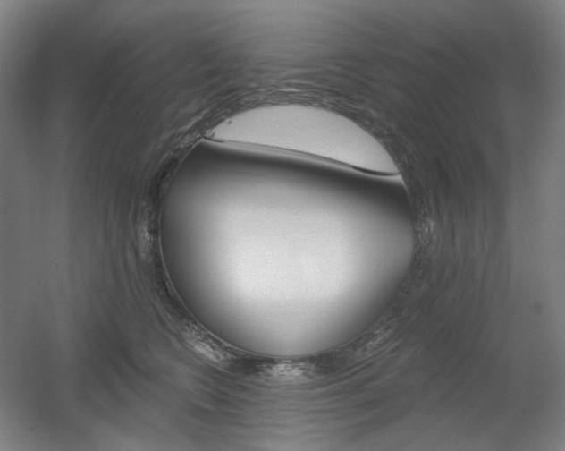 X0000056030566200508190955
