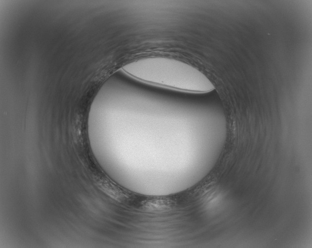 X0000056030567200508190955