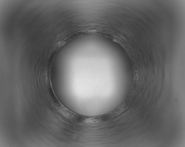 X0000056030568200508190955