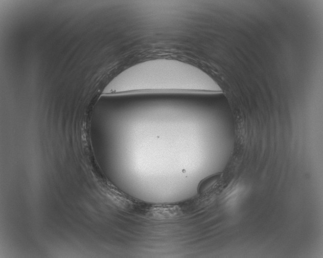 X0000056030571200508190955