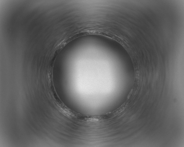 X0000056030572200508190955