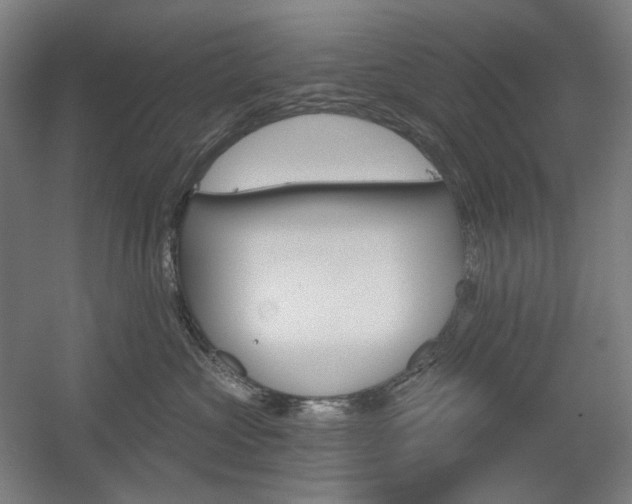 X0000056030573200508190955