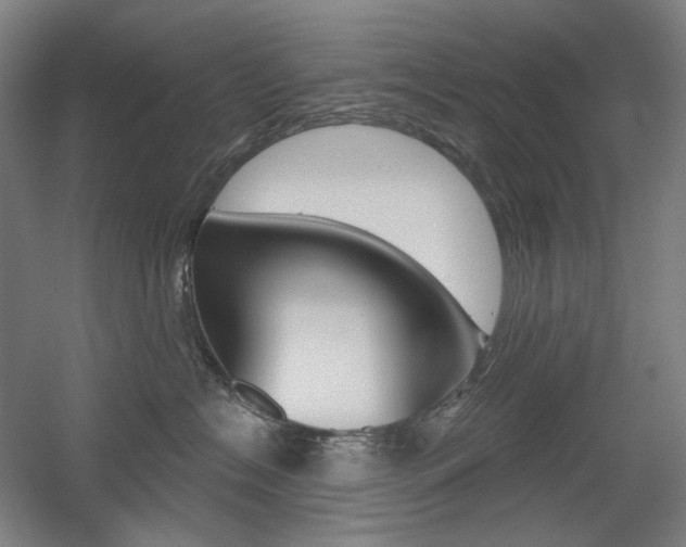 X0000056030574200508190955