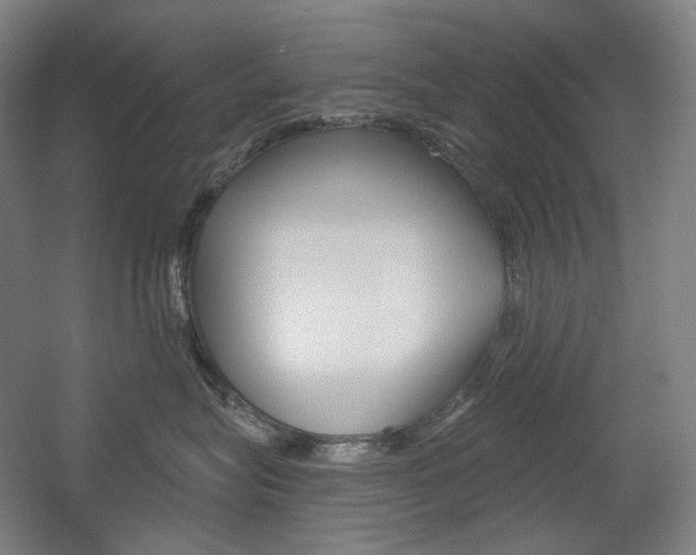X0000056030575200508190955