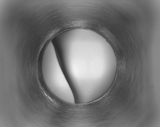 X0000056030578200508190954