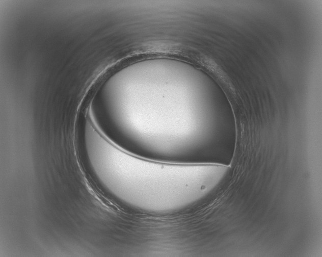 X0000056030580200508190954