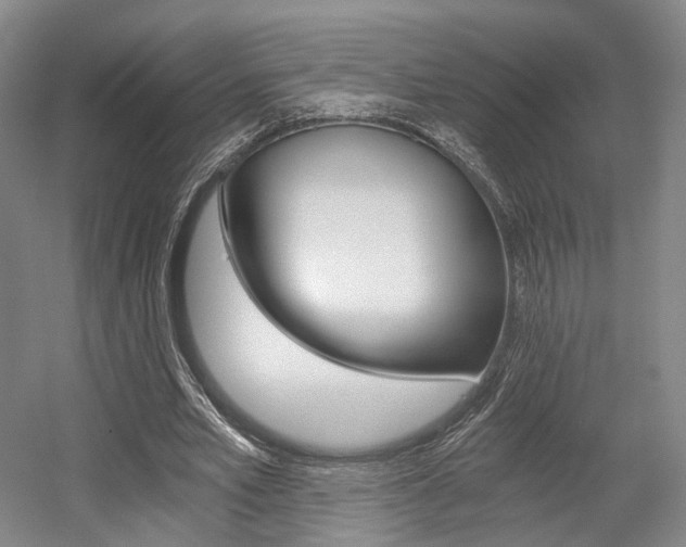 X0000056030581200508190954