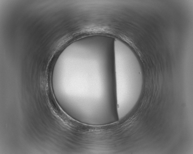 X0000056030582200508190954