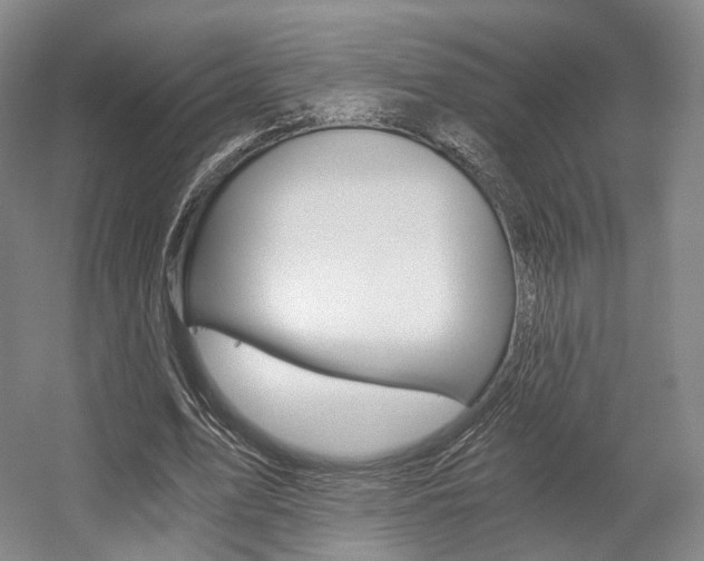 X0000056030583200508190954