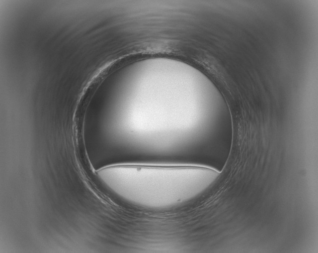X0000056030584200508190954