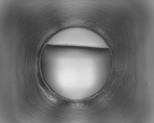 X0000056030586200508190954