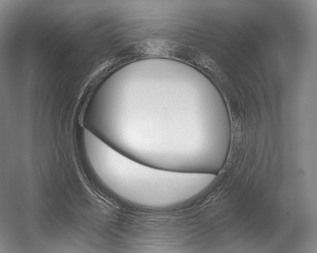 X0000056030587200508190954