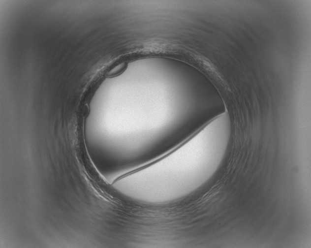 X0000056030588200508190954