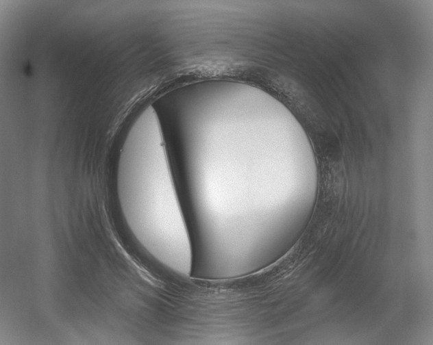 X0000056030590200508190954