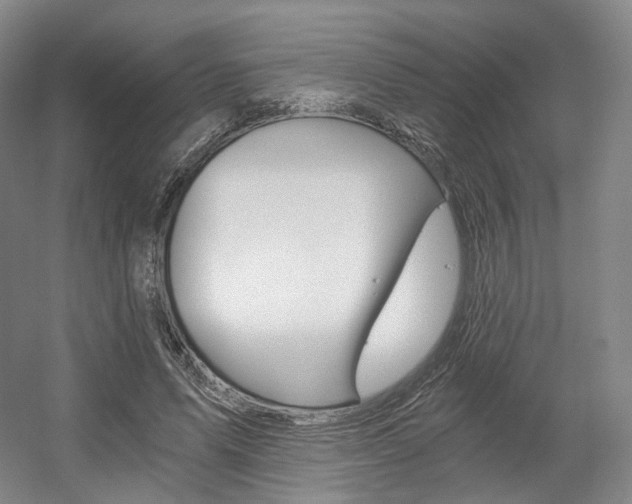 X0000056030591200508190954