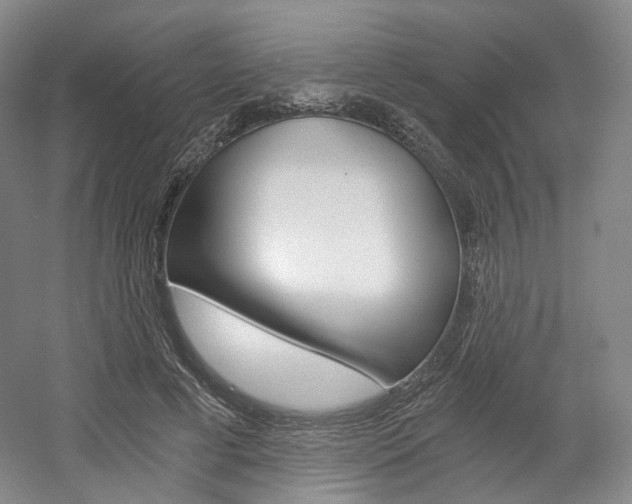 X0000056030593200508190954