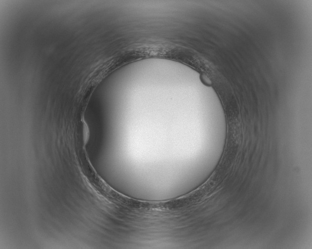 X0000056030594200508190954