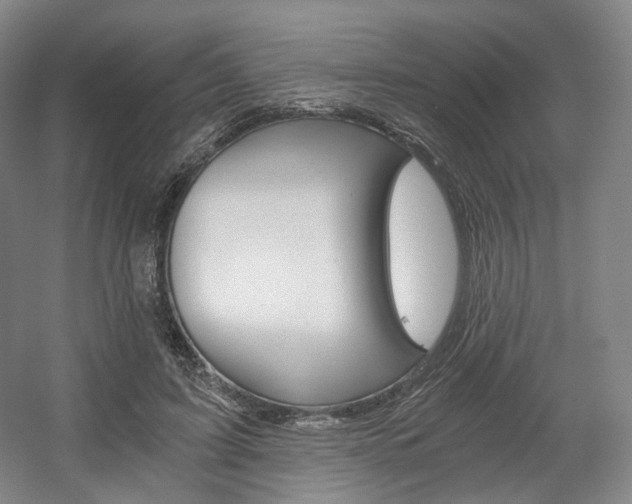 X0000056030595200508190954