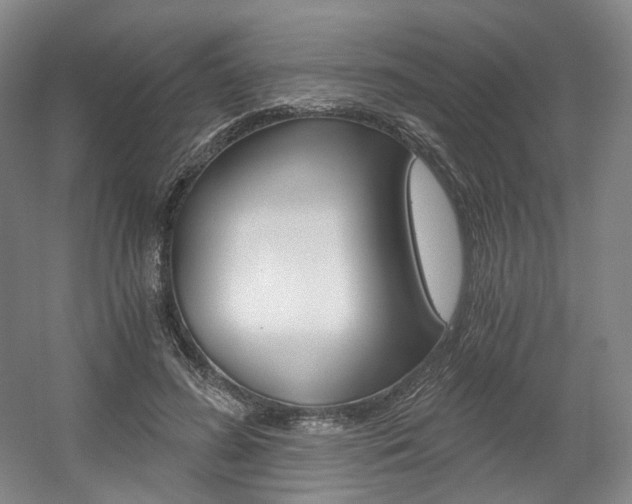 X0000056030596200508190954