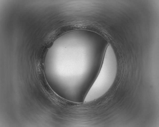 X0000056030597200508190954