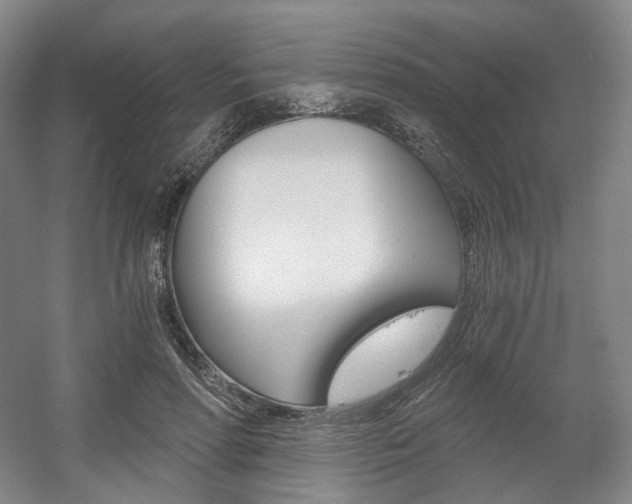 X0000056030598200508190954