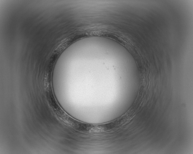 X0000056030599200508190954