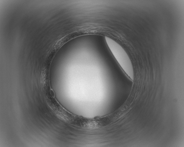 X0000056030600200508190954