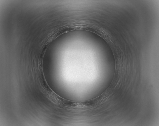 X0000056030601200508190954
