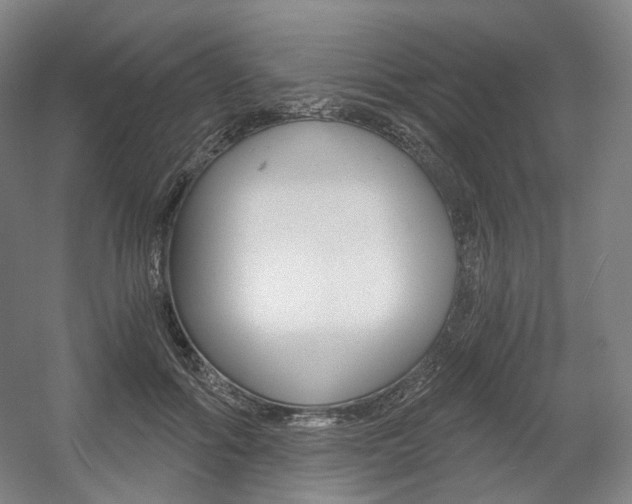 X0000056030602200508190954