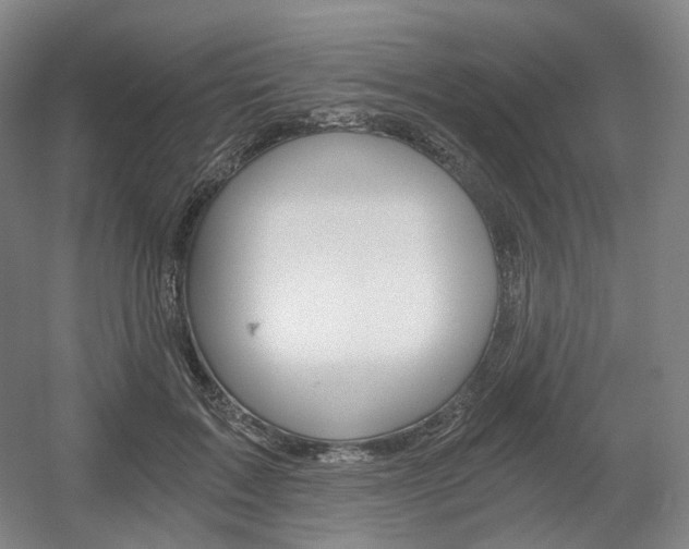 X0000056030603200508190954