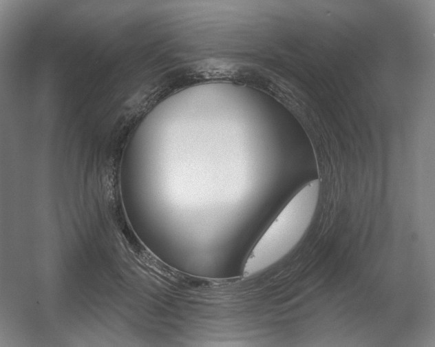 X0000056030604200508190954