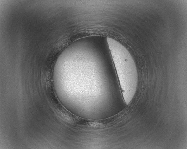 X0000056030605200508190954