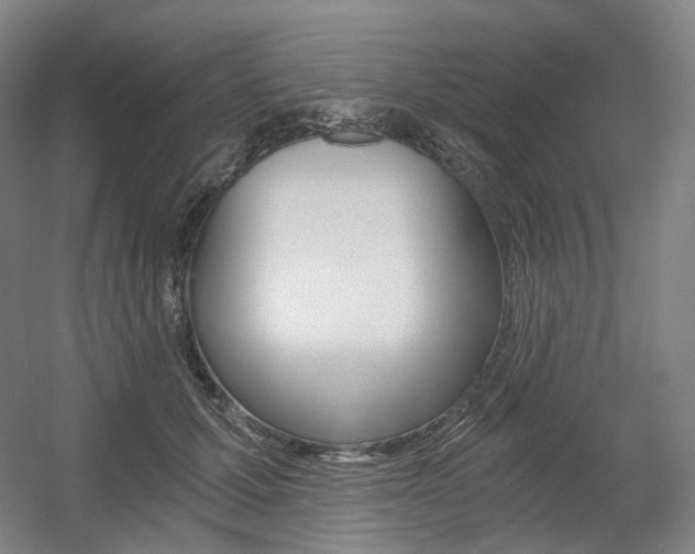 X0000056030607200508190954