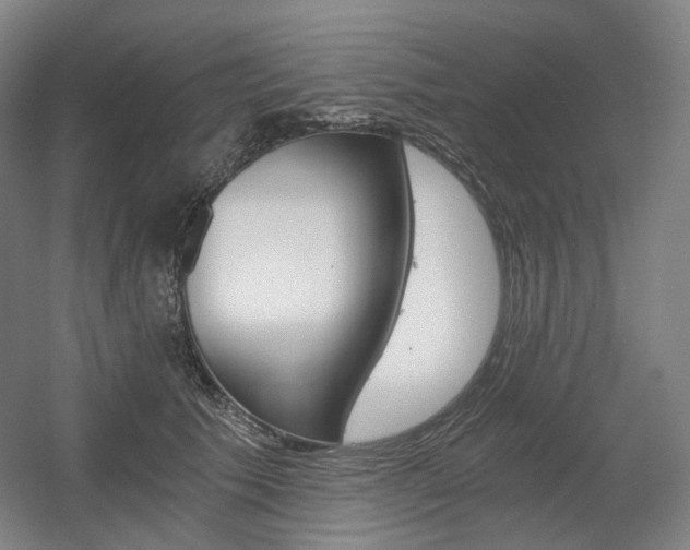 X0000056030609200508190954