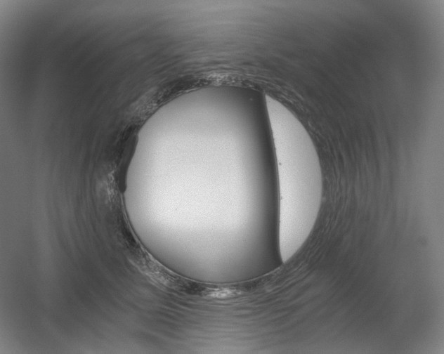 X0000056030611200508190954