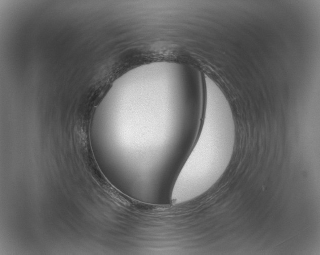 X0000056030613200508190954