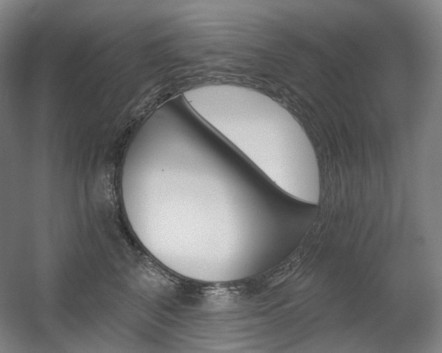 X0000056030616200508190954