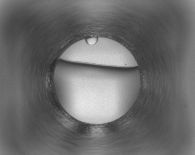 X0000056030618200508190954