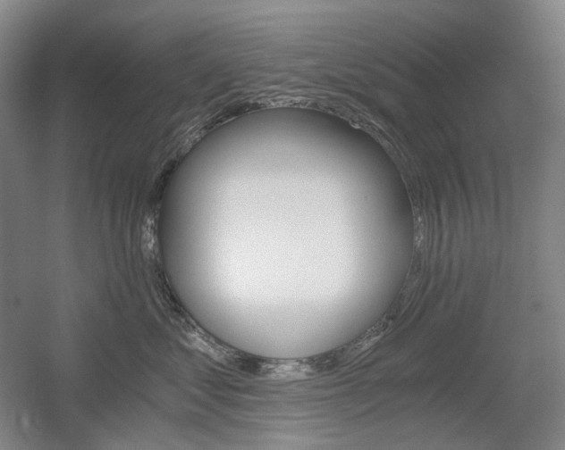 X0000056030621200508190954