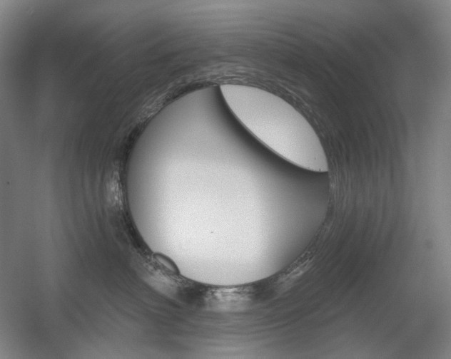 X0000056030622200508190954