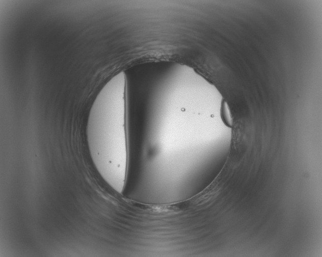 X0000056030623200508190954