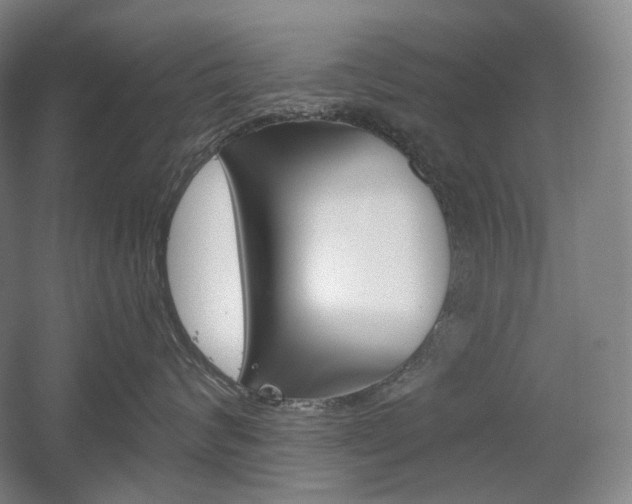 X0000056030624200508190954