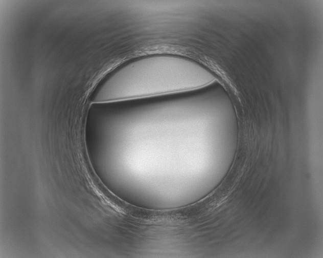 X0000056030625200508190953