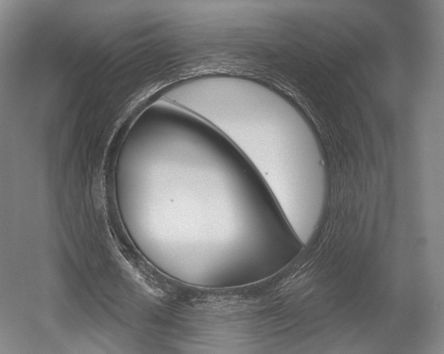 X0000056030626200508190953